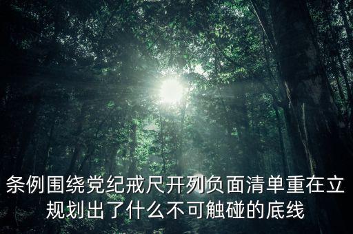 負(fù)面清單將不再提出什么，負(fù)面清單將不再提出  A關(guān)鍵項目 B阻礙項目 C禁止項目 D鼓勵項