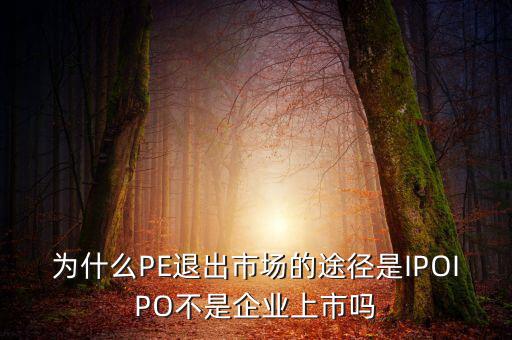 pe為什么要退出，為什么PE退出市場(chǎng)的途徑是IPOIPO不是企業(yè)上市嗎