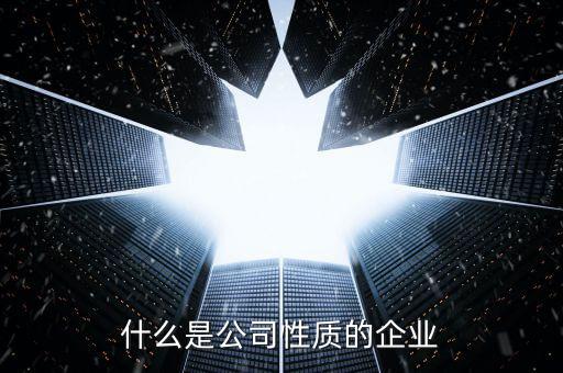 中期集團是什么性質(zhì)的企業(yè)，集團是什么性質(zhì)的公司