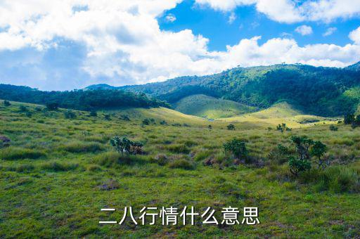 什么是288指數(shù)，股票二八現(xiàn)象是什么意思