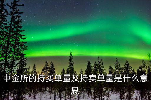 持買(mǎi)單量是什么意思，持賣(mài)單什么意思