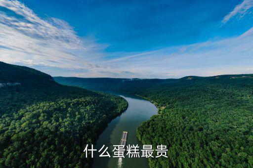 什么牌子的生日蛋糕最貴，生日蛋糕都有哪些品牌稍微高端一些的價錢和品牌