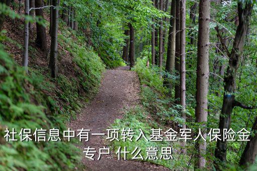 什么是社保轉(zhuǎn)入基金，請問一下社保綜合中轉(zhuǎn)入基金是什么呢不明白里面的基金是怎么回事