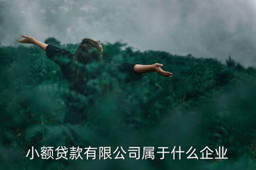 德善小額貸款是什么企業(yè)，德盛行小額貸款是不是真的