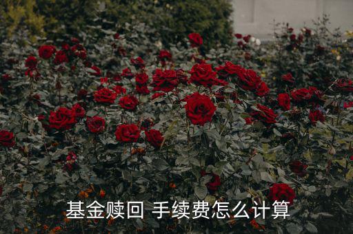 基金賣出手續(xù)費(fèi)怎么算,基金理財知識點(diǎn)（16）