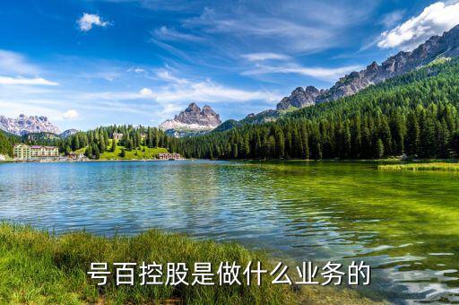 號(hào)百控股什么概念，號(hào)百控股是做什么業(yè)務(wù)的