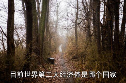 中國(guó)什么時(shí)候成為第二大經(jīng)濟(jì)體，中國(guó)成為世界第二大經(jīng)濟(jì)體是什么時(shí)候