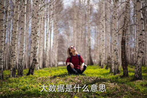 大數(shù)據(jù)什么意思，簡述什么是大數(shù)據(jù)