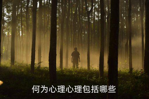 什么是心理層面，人的心理境界分幾個(gè)層次