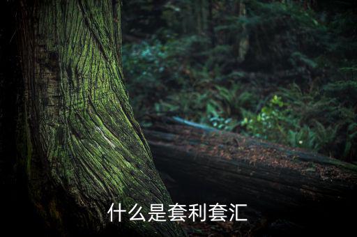 外匯套利是什么意思，什么是外匯期貨套利交易