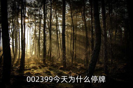 大連友誼為什么停牌，002399今天為什么停牌