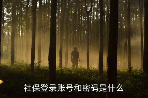 社保查詢個(gè)人賬戶密碼是什么，社保登錄賬號(hào)和密碼是什么