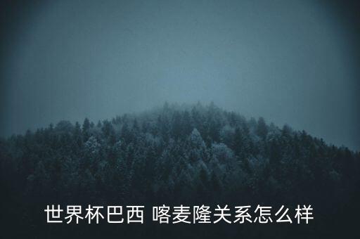 世界杯巴西 喀麥隆關系怎么樣