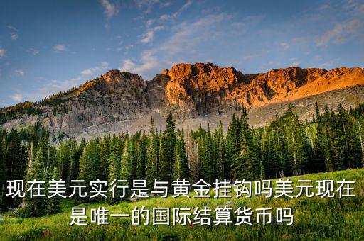 現(xiàn)在美元實(shí)行是與黃金掛鉤嗎美元現(xiàn)在是唯一的國際結(jié)算貨幣嗎