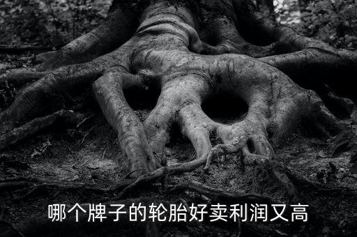 什么輪胎利潤(rùn)大，哪個(gè)牌子的輪胎好賣(mài)利潤(rùn)又高