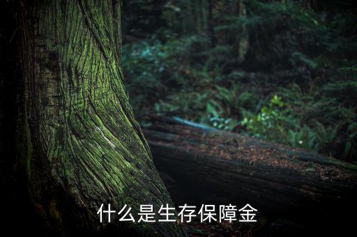 什么是生存保險金，什么是生存保障金