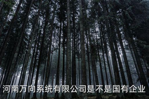 萬向集團是什么企業(yè)，萬向集團公司是哪一家公司設(shè)計的