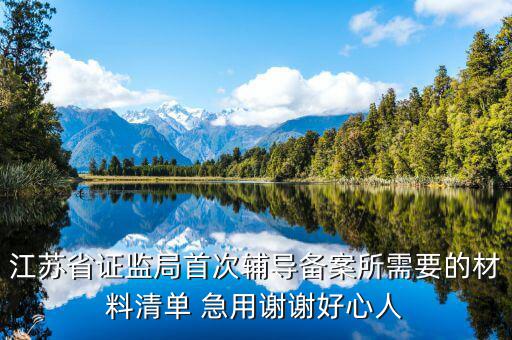輔導(dǎo)備案登記受理是什么階段，我想問一下辦一般納稅人申請后我們的輔導(dǎo)期是當(dāng)月 15小
