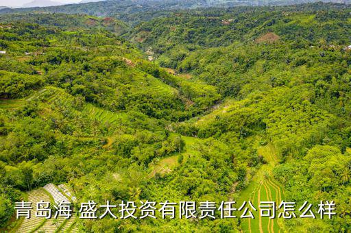 青島海 盛大投資有限責任公司怎么樣