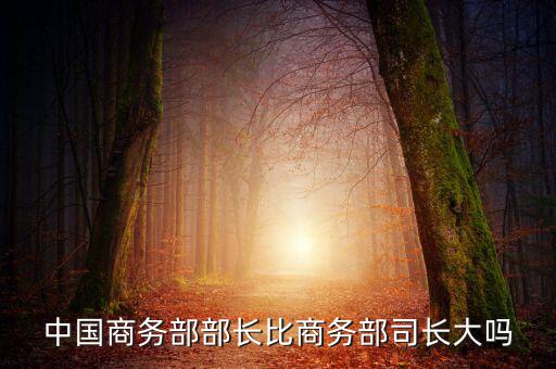 商務部部長什么級別，商務部部長多大的官