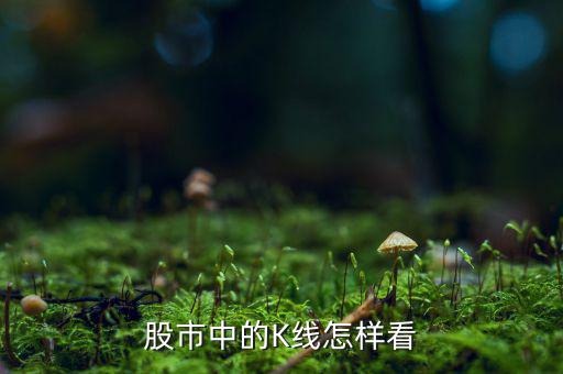 k線(xiàn)怎么看趨勢(shì),股市動(dòng)態(tài)分析