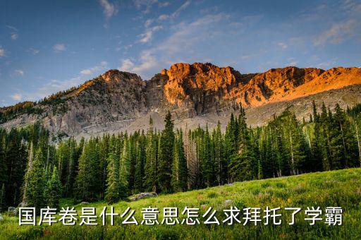 國(guó)庫卷是什么意思怎么求拜托了學(xué)霸