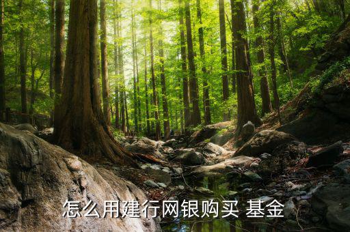 網(wǎng)上銀行怎么買(mǎi)基金,首次購(gòu)買(mǎi)基金需要注意什么?