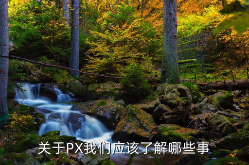 px項(xiàng)目是干什么的，關(guān)于PX我們應(yīng)該了解哪些事