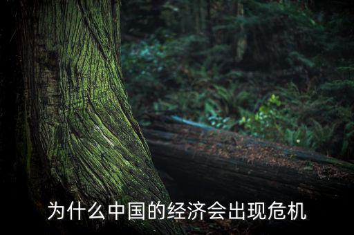 為什么中國的經濟會出現危機