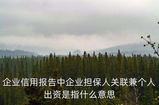 擔保人關聯(lián)是什么意思，企業(yè)征信中 擔保人關聯(lián)是什么意思