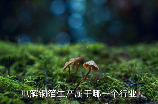 電子銅箔屬于什么行業(yè)，電解銅箔生產屬于哪一個行業(yè)