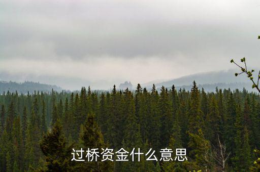 什么叫過(guò)橋資金，什么叫做過(guò)橋資金
