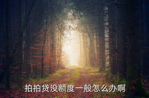  拍拍貸沒(méi)額度一般怎么辦啊