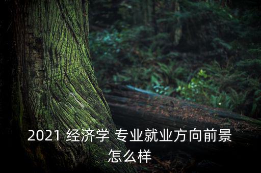 2021 經濟學 專業(yè)就業(yè)方向前景怎么樣