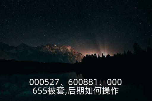 000527、600881、000655被套,后期如何操作