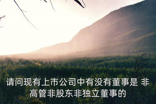 什么是非獨立董事，什么叫執(zhí)行董事非執(zhí)行董事和獨立非執(zhí)行董事