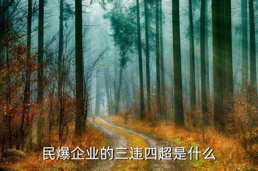 民爆企業(yè)的精髓是什么，民爆公司是甚么性質(zhì)單位