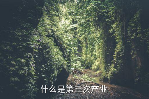 什么是三次產(chǎn)業(yè)融合，什么是產(chǎn)業(yè)融合