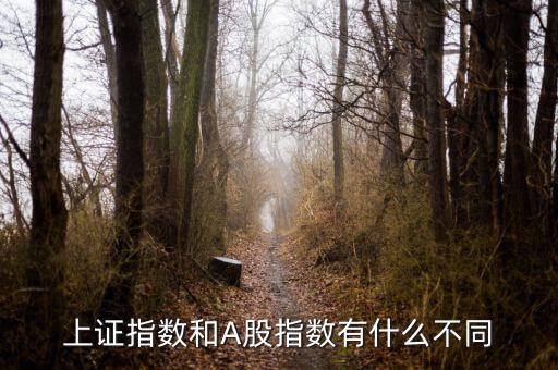 上證指數(shù)和A股什么區(qū)別，上證指數(shù)和A股指數(shù)有什么不同