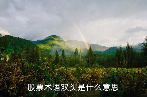 什么是大盤做雙頭，股票術(shù)語雙頭是什么意思
