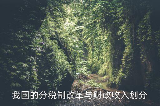 中國財政為什么會分權，西方的財政分權理論是否適合中國為什么