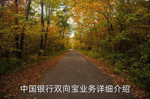 中行雙向?qū)毷鞘裁?，中?guó)銀行雙向?qū)殬I(yè)務(wù)詳細(xì)介紹