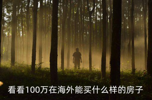 100萬在國外能買什么，看看100萬在海外能買什么樣的房子