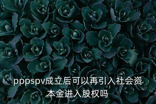 spv公司是什么意思，spv公司是獨(dú)立法人