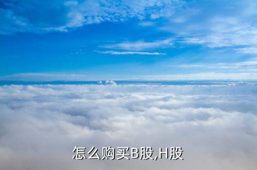 怎么購買B股,H股