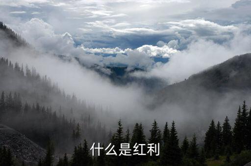 什么是全球化紅利，紅利是指什么意思