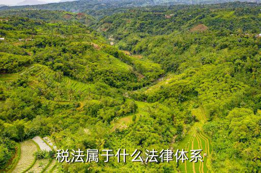 企業(yè)所得稅法屬于什么法，企業(yè)所得稅法是怎樣的