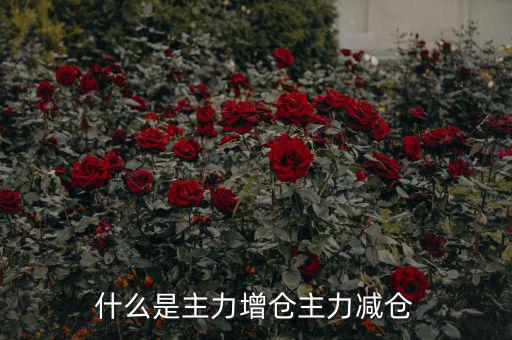 主力增減倉(cāng)什么意思，什么是主力增倉(cāng)主力減倉(cāng)