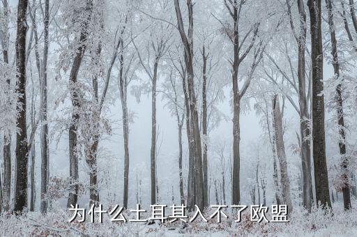 為什么土耳其無法加入歐盟，為什么土耳其入不了歐盟