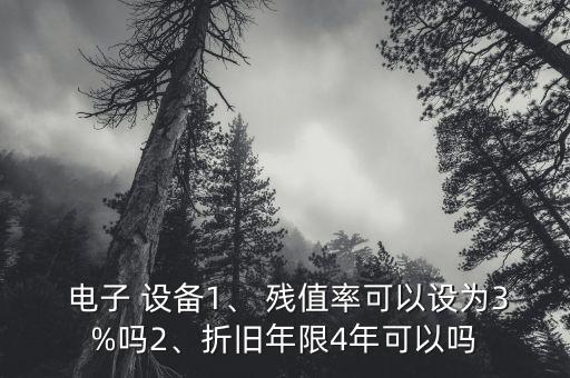  電子 設(shè)備1、 殘值率可以設(shè)為3%嗎2、折舊年限4年可以嗎